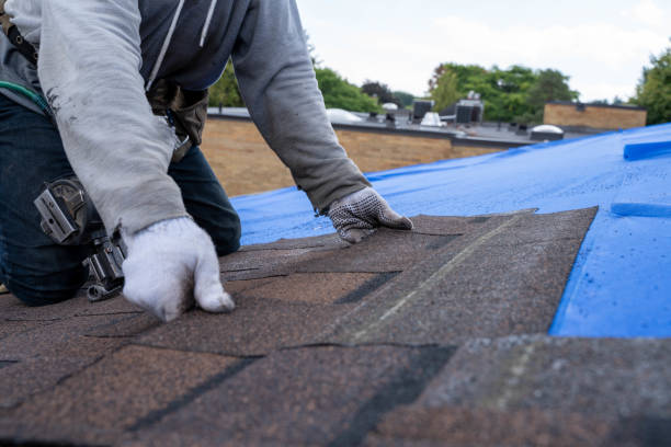Best Roof Leak Repair  in Hammond, WI